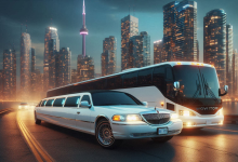 Mississauga Limo