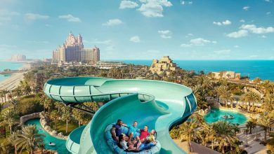 Wild Wadi Waterpark: An Enthralling Adventure - My First-Hand Account