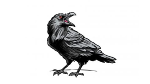 Draw A Raven