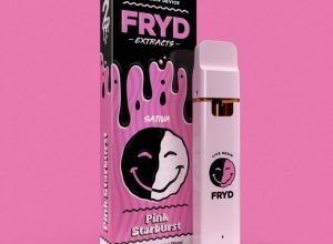 fryd 2g disposable