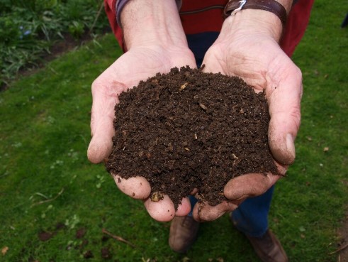 Why Choose Rototillerguy for Composting Services in Los Angeles