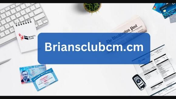 Exploring the Financial Landscape of Briansclub